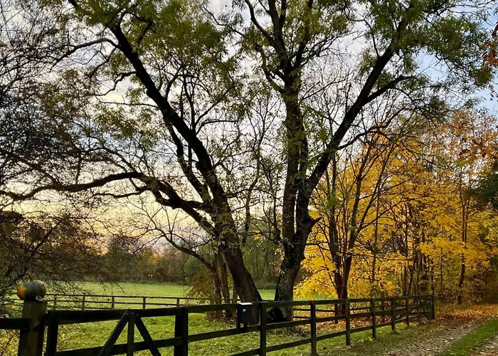 Ii Dwor Kuflew * Wola Kaluska